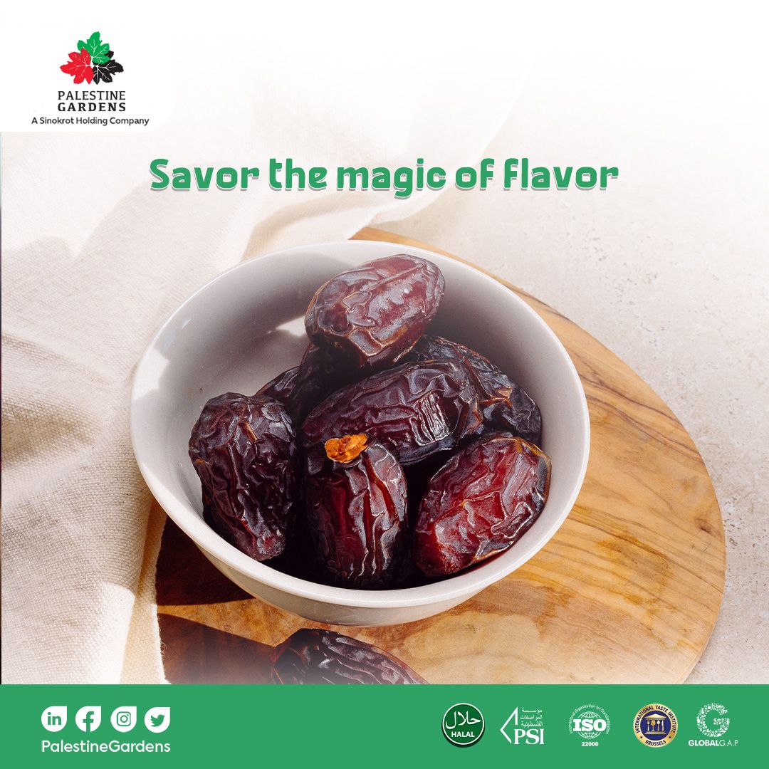 PalGardens's tweet photo. Dive into the extraordinary with medjoul dates👌
Savor the magic of flavor that was once hidden😋

#سنقرط #تمر_المجهول
#PalestinianMedjoulDates  #medjooldates https://t.co/x6dwcEv0ZA