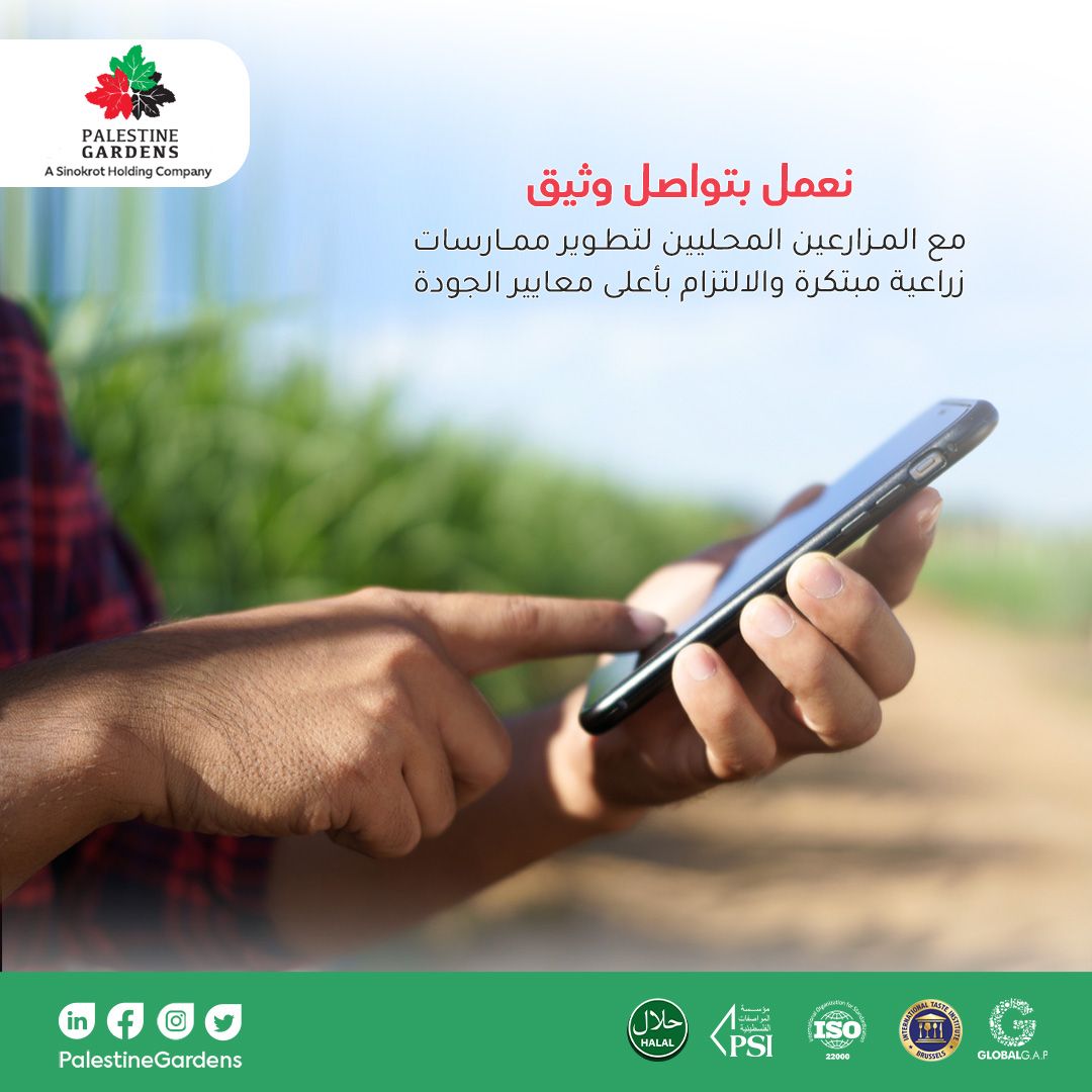PalGardens's tweet photo. في بال جاردنز الزراعية، حيث يتجسَّد التميز في صناعة التمور. نعمل بتواصل وثيق مع المزارعين المحليين لتطوير ممارسات زراعية مبتكرة والالتزام بأعلى معايير الجودة، ما يجعلنا خيار المثالي لعملائنا على الصعيدين المحلي والعالمي.

#سنقرط #تمر_المجهول
#PalestinianMedjoulDates #medjooldates https://t.co/N9z6ZTUpvB