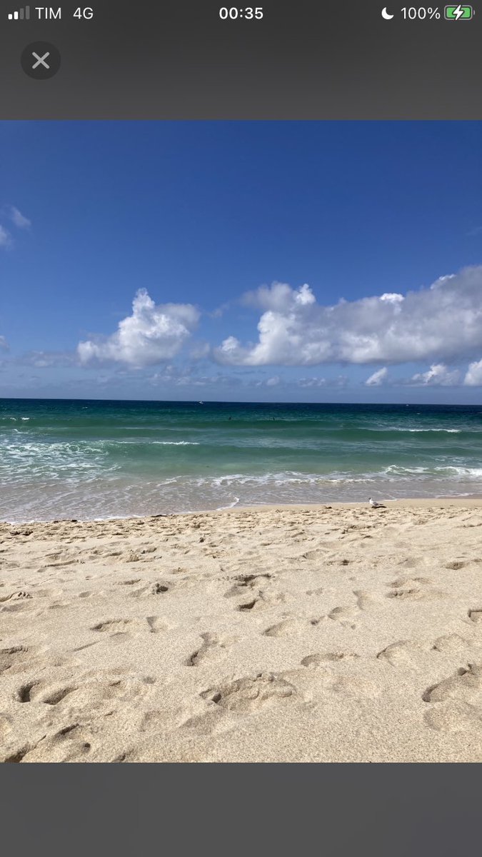 LIGHT
Today's theme @ #TheDailyHaiku 30/9/23 
EVERYWHERE
WEEKLY THEME                             
Look forward to your #haiku with/no images &amp; do join me at #mastodon World THE DAILY HAIKU slowly moving over from Twitter #WritingCommunity #haikufeels #writing #writersoftwitter