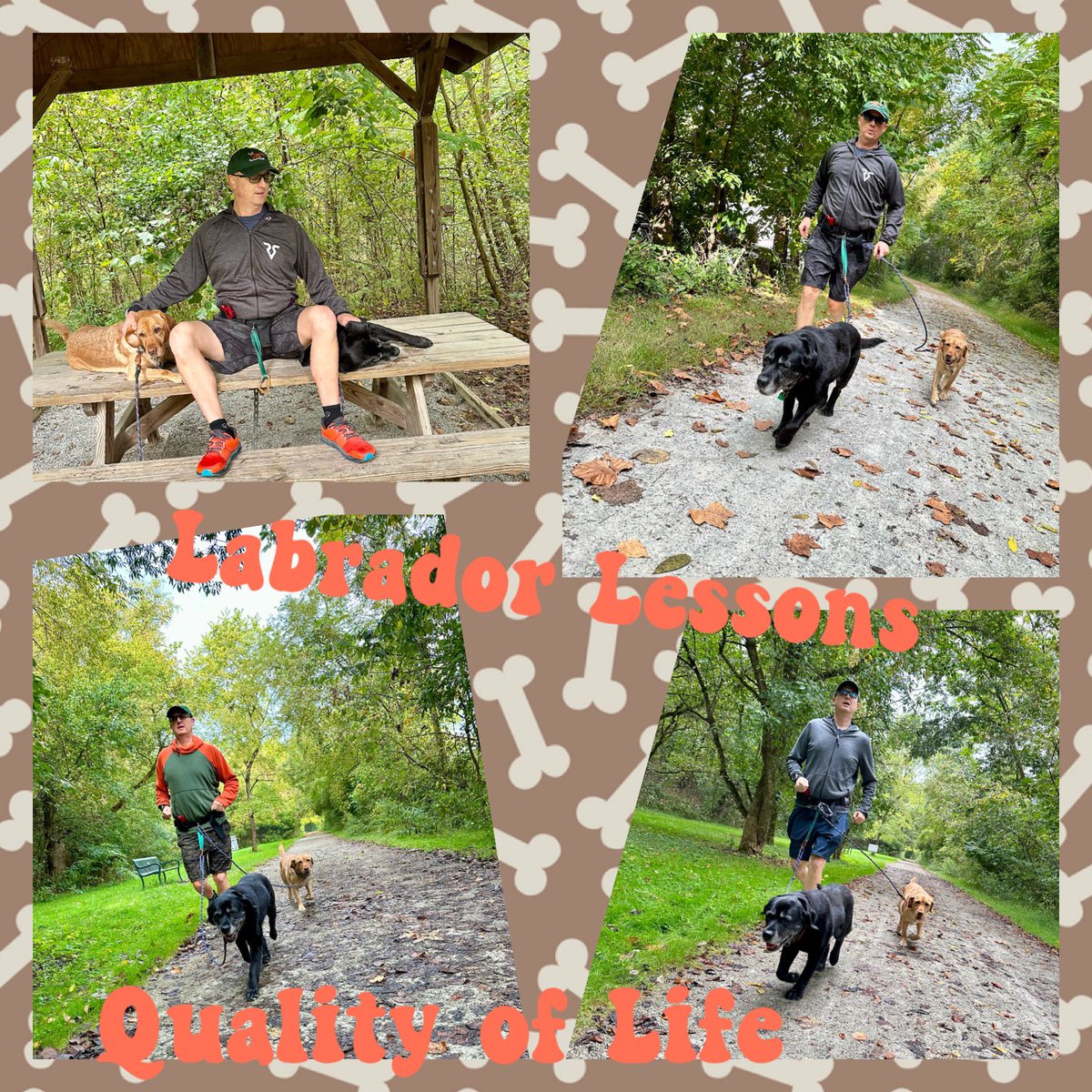 FitLabDeepCreek's tweet photo. #LabradorLessons from #FitLabPGH (link below): Tips to Enhance Your Dog’s Quality of Life.
#HealthyDog #ActiveDog #MoveMore #BePresent #WiseWords
https://t.co/2ms5dGWLR8 https://t.co/j7UrJq7I3F