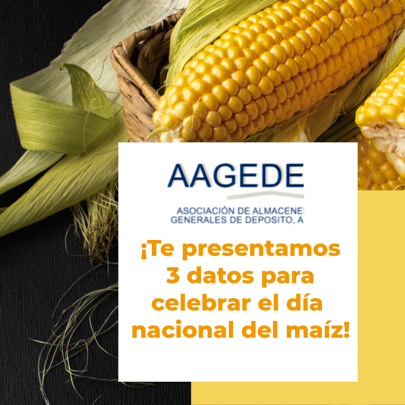 AAGEDEAC's tweet photo. ¡29 de septiembre, día nacional del maíz! 🌽🇲🇽
.
.
.
.
#PorLaAgricultura #AgriculturaMexico #UnionesdeCredito  #comercioexterioryaduanas #almacenesdedeposito  #almacenes #almacenesmexico #aduanasmx #aduanasmexico #aduanamx #aduanamexico #depositofiscal #almacenadora #agricultura https://t.co/JZLqJzX5av