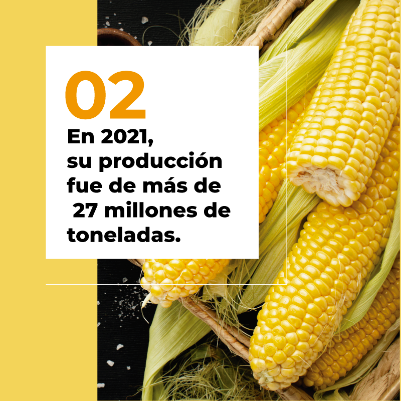 AAGEDEAC's tweet photo. ¡29 de septiembre, día nacional del maíz! 🌽🇲🇽
.
.
.
.
#PorLaAgricultura #AgriculturaMexico #UnionesdeCredito  #comercioexterioryaduanas #almacenesdedeposito  #almacenes #almacenesmexico #aduanasmx #aduanasmexico #aduanamx #aduanamexico #depositofiscal #almacenadora #agricultura https://t.co/JZLqJzX5av