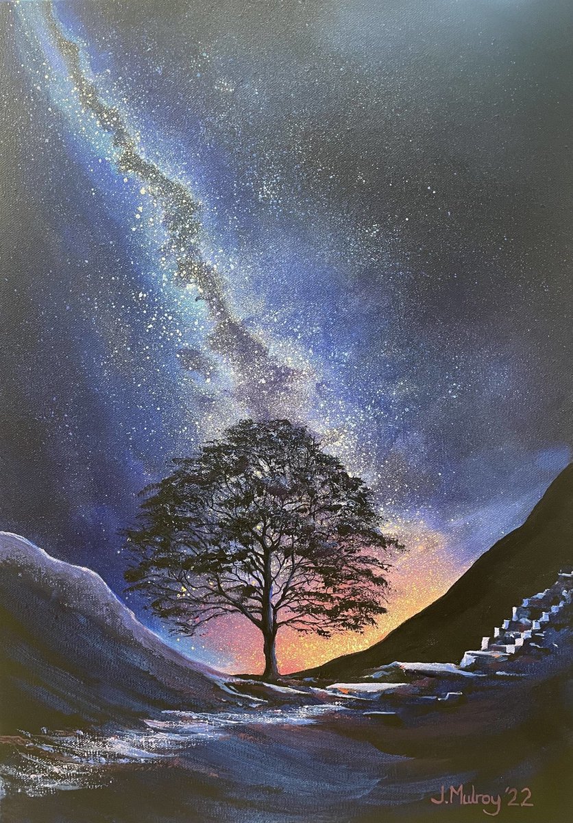 beanz2809's tweet photo. #SycamoreGap 

I’m bored of those saying ‘it’s only a tree’ - they’re right, but a significant one, a one which will have housed 100s of species of wildlife, and birds who called it home. Not bothered about how photographed it is, or the films it’s been in. Yeah, just a tree 🥲 https://t.co/Oa7DeaSjYO