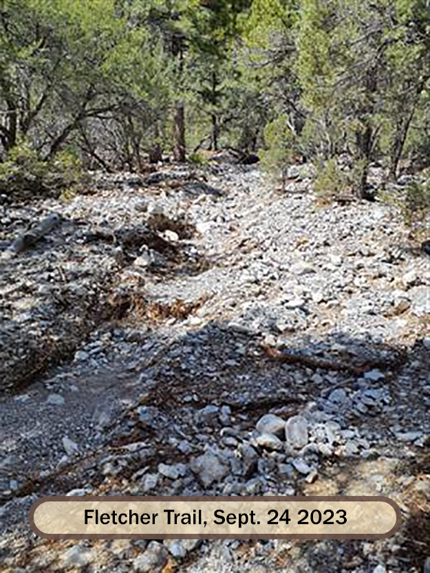 HumboldtToiyabe's tweet photo. SMNRA-Hazardous conditions on the Fletcher Trail and throughout the area. Significant gaps, hazardous trees and rubble exist on the trails and sites, some segments are completely gone. The Closure order remains for public safety #SpringMountainsNRA https://t.co/EB8VcsE39q. https://t.co/82ctj3Nc6D