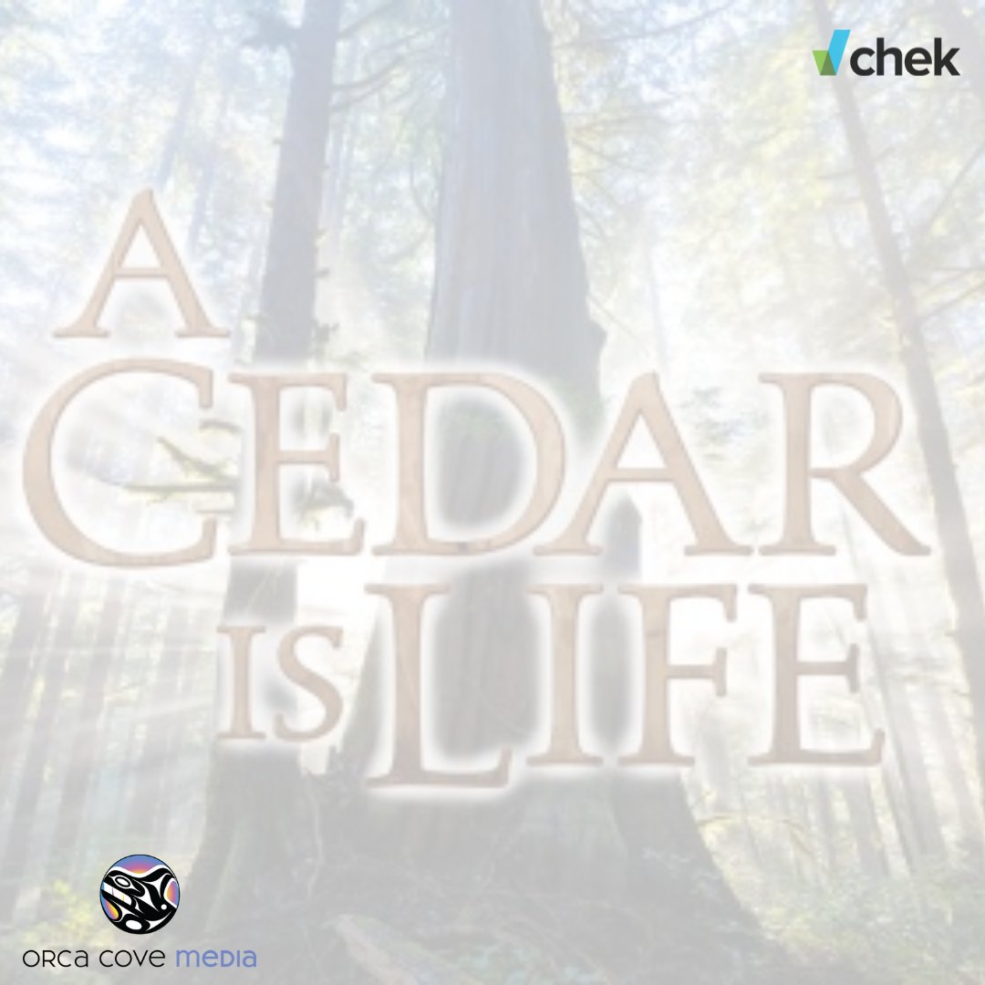 OrcaCoveMedia's tweet image. TOMORROW: CHEK TV will be broadcasting  #ACedarIsLife for #NationalTruthAndReconciliationDay at 8pm. 
 
With our film, we hope to provide a source of education for our audiences, as knowledge can often be a meaningful practice toward reconciliation.