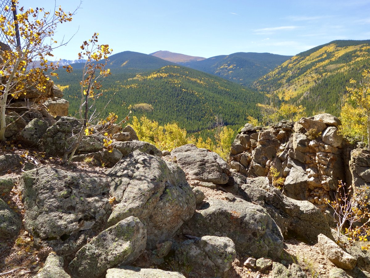 The aspens are looking bright today 🍂

#Colorado #fallcolors