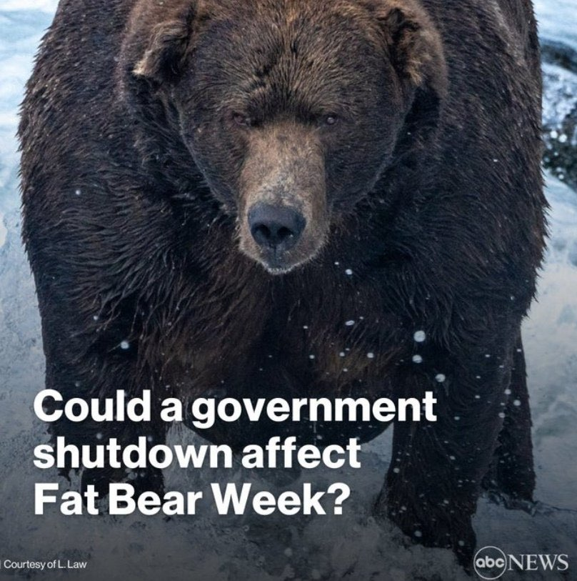 BearPosting's tweet photo. ‼️⁉️ https://t.co/jDpIiipR5h