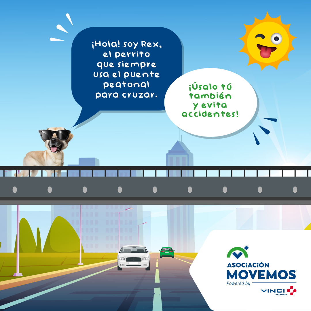 AsocMOVEMOS's tweet photo. ¡Caminemos juntos hacia la seguridad! 🙏🏽El uso de puentes  peatonales es esencial🧏🏼‍♂️ para prevenir accidentes en nuestras calles.  💥🚗 
#VINCIHighways @VINCIConcess #NosMovemosPorLaSeguridad #MuéveteBien https://t.co/ngBNfk6PTM
