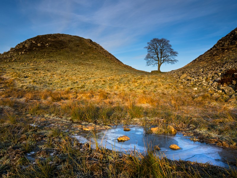 Karen_Atkinson_'s tweet photo. Still heartbroken. 
My heart goes out to everyone who loved the lone tree, and for those who hadn't yet got the chance to visit. It always seemed so graceful, and withstood so much, to come to this.   #SycamoreGap  #HadriansWall https://t.co/HnsDRszrn0