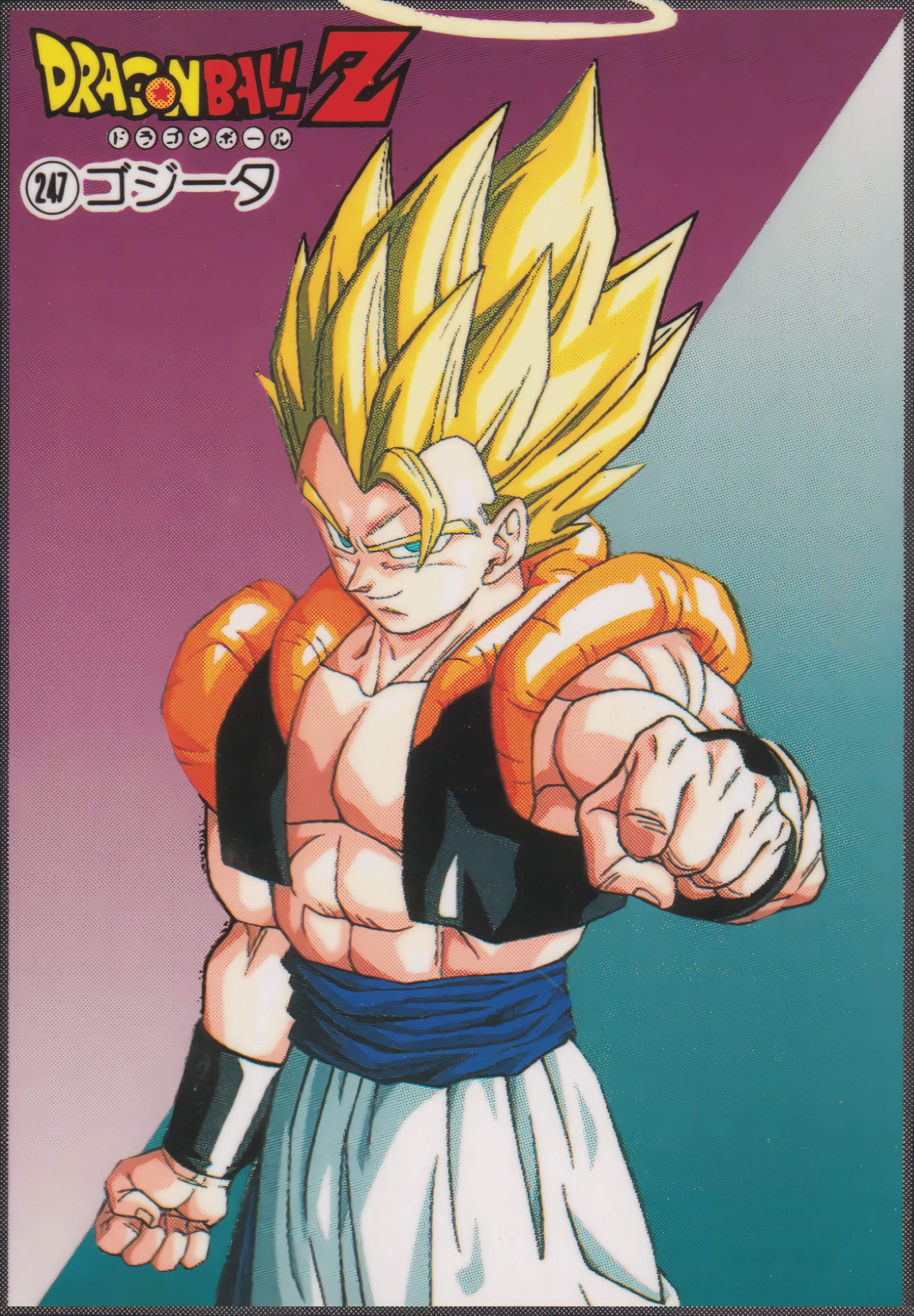ドラゴンボールZ THE SUPER SAIYANSカード TCG OLD SAIYAN Card 1989 Dragon Ball Z Japanese Made in