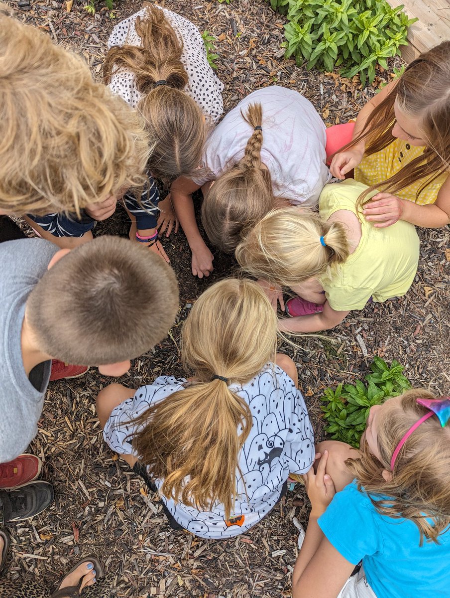 ajreilly21's tweet photo. The grade 3s @ForestHillPS have been finding, exploring and analyzing soil samples. How many layers can they identify? https://t.co/mCI3XMGfnl