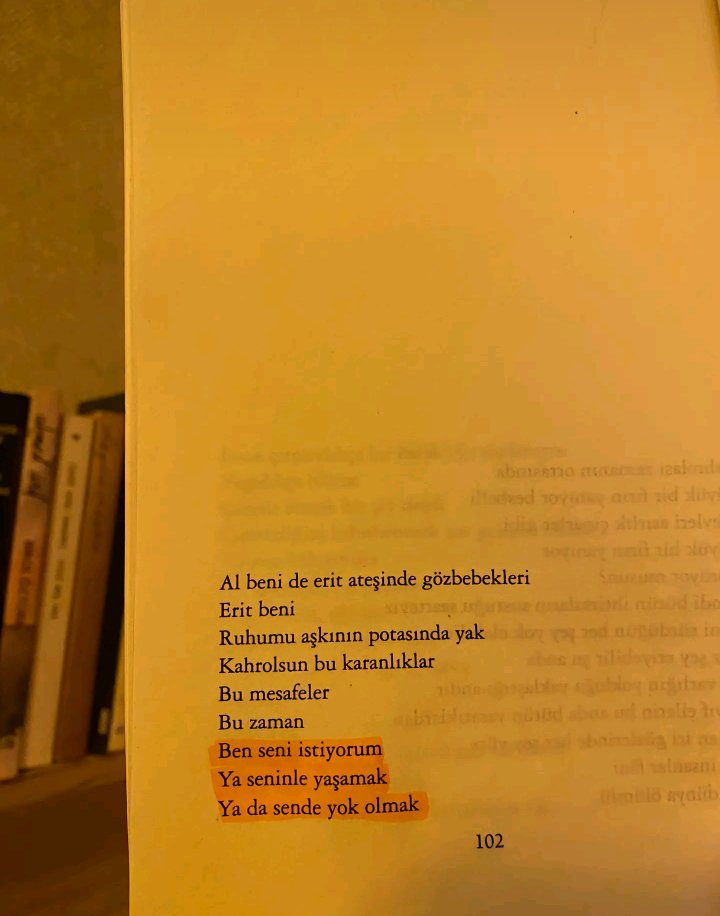 Gamze Sera (@gamzeilb) on Twitter photo 