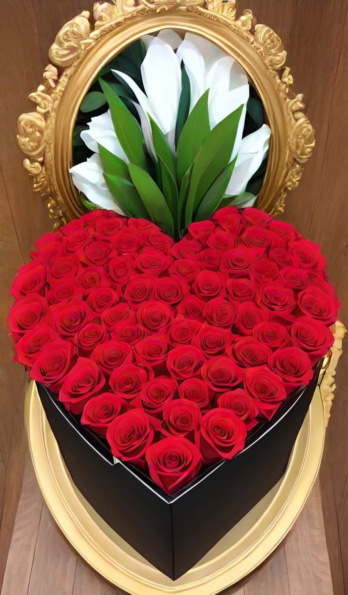 SafiMiloud20501's tweet photo. https://t.co/9TOoCYZPdD https://t.co/WTRmeBCMri