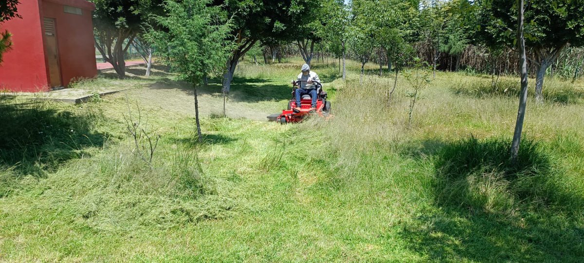 ParquesPuebla's tweet photo. ¡Estamos trabajando para ti! En la mejora de espacios verdes. Realizamos poda y jardinería en el Parque Metropolitano.
#ParquesTrabajando👩🏻🌾🧑🏼🌾
#GobiernoPresente https://t.co/gdaYLC4hK0