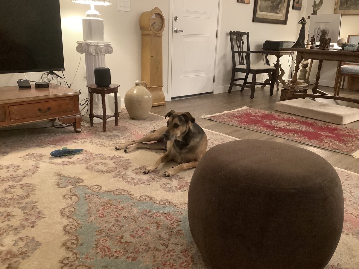 guyplusdog's tweet photo. Portrait of a friend. ❤️🐶❤️ https://t.co/RIBv6d6jBt