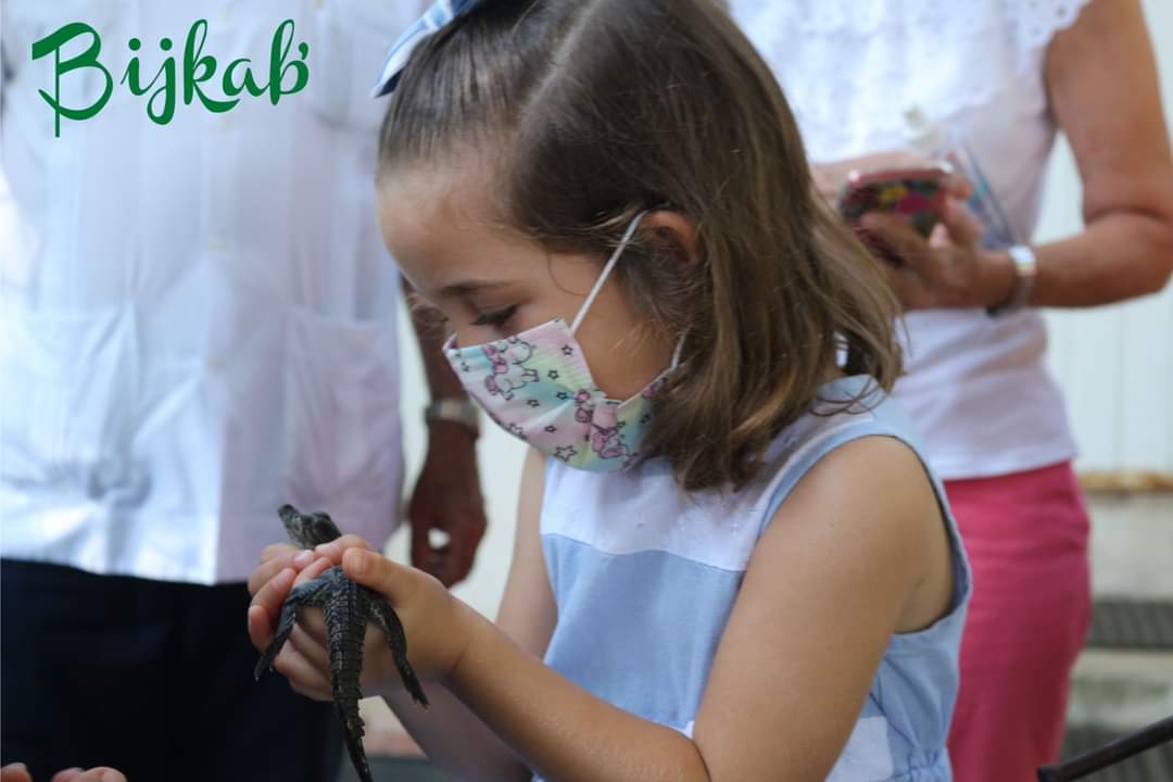 bijkab_UJAT's tweet photo. Te gustaría visitar Bijkab'?💚
Ven y conoce nuestra oferta bijkab' de talleres 
Y recorridos por la DACBiol 
https://t.co/yNGMgDB6io
Elige tres opciones y contáctanos en el siguente link👇🏻
https://t.co/pCkKyzGoGS
99 33 58 15 00 ext. 6414 
Visítanos y vive la experiencia #bijkab' https://t.co/pFYUo9H9qh