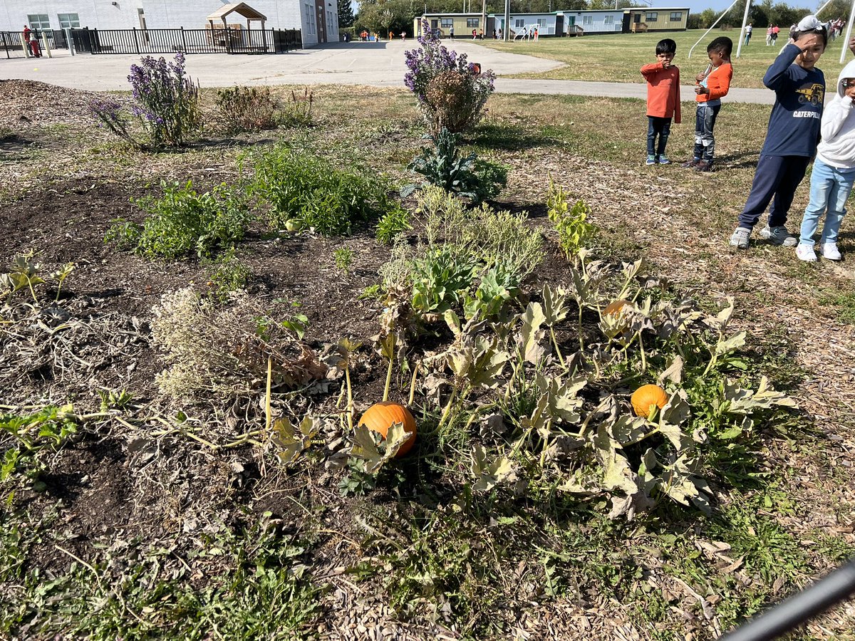 @kgriffinfamily tweet media