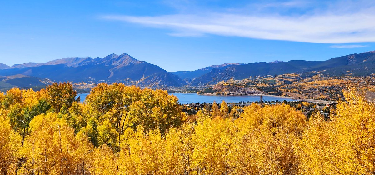 Naomi McMahon tweet media