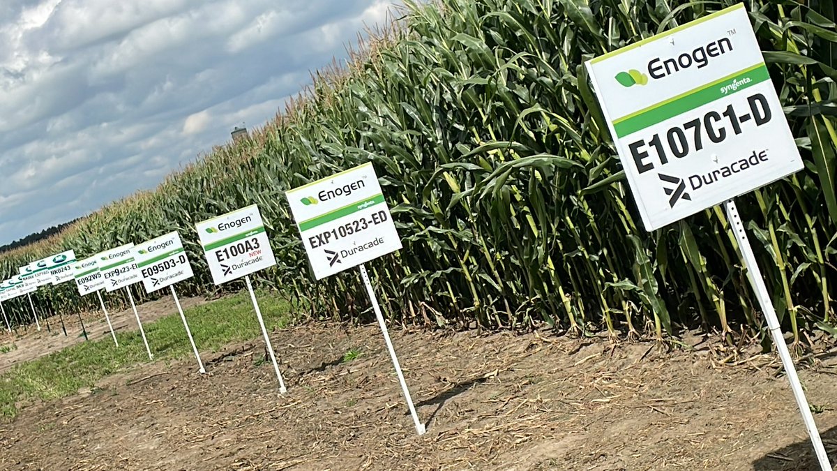 Ian Matheson tweet media