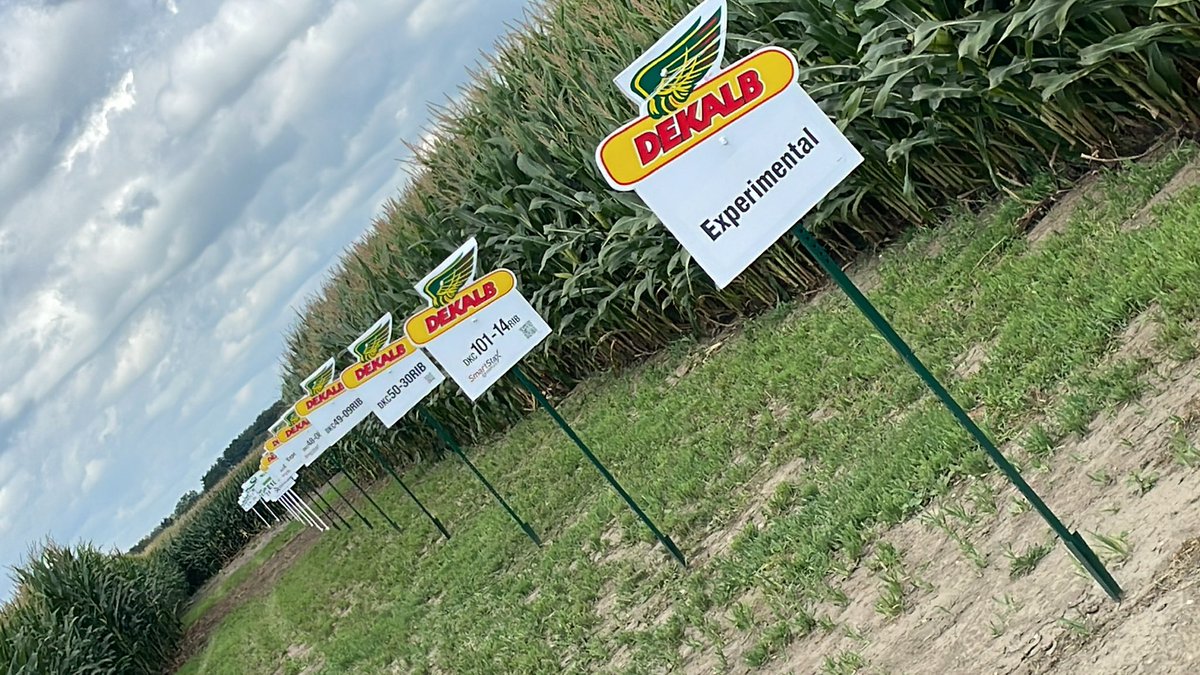 Ian Matheson tweet media