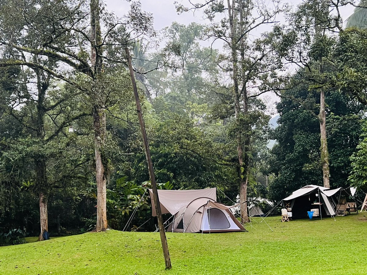 elzalyff's tweet photo. Good morning wherever you maybe …

@SnowPeak_Japan 
@snowpeakusa 

#ikigai 
#noasobi 
#outsideisbetter 

📍Jungle zen Janda Baik 🇲🇾 
⛺️⛰️ 459m https://t.co/nOeY7OnZVB