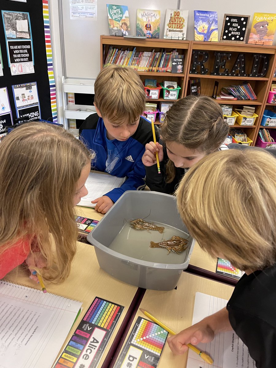 Mrs. Schaefer tweet media