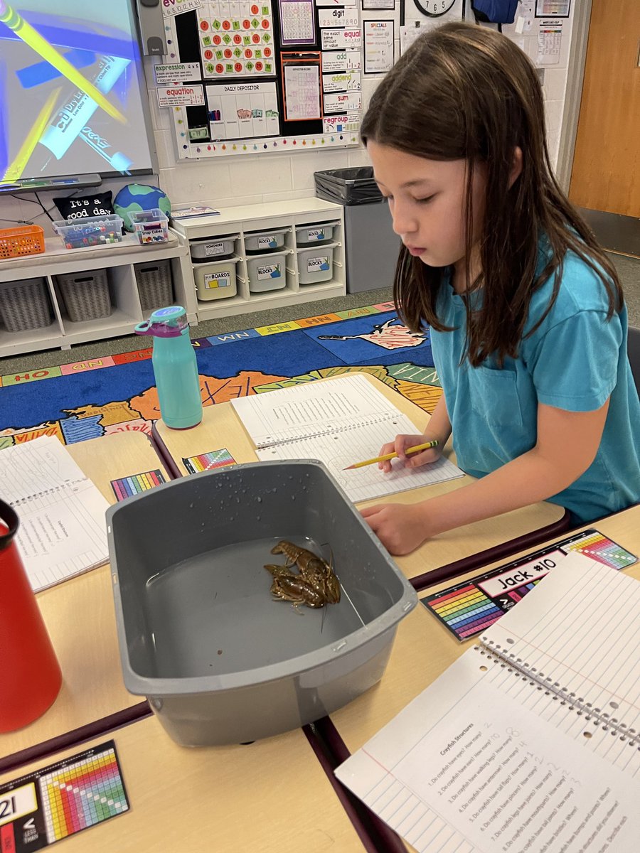 Mrs. Schaefer tweet media