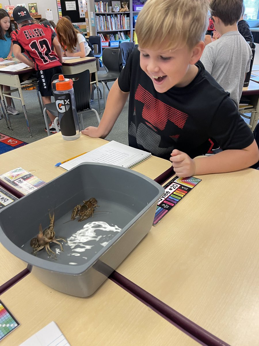 Mrs. Schaefer tweet media