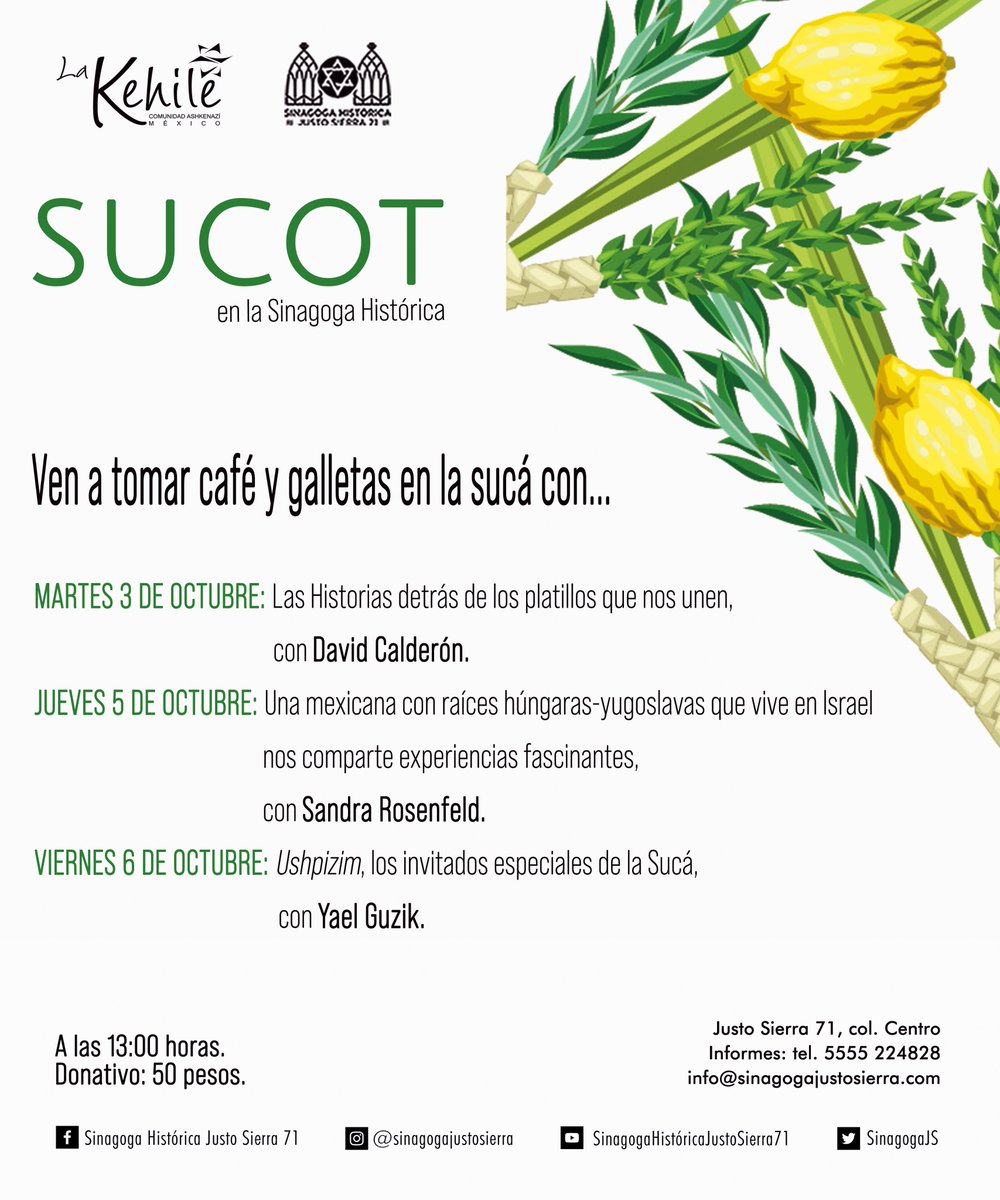 Sinagoga Histórica tweet media