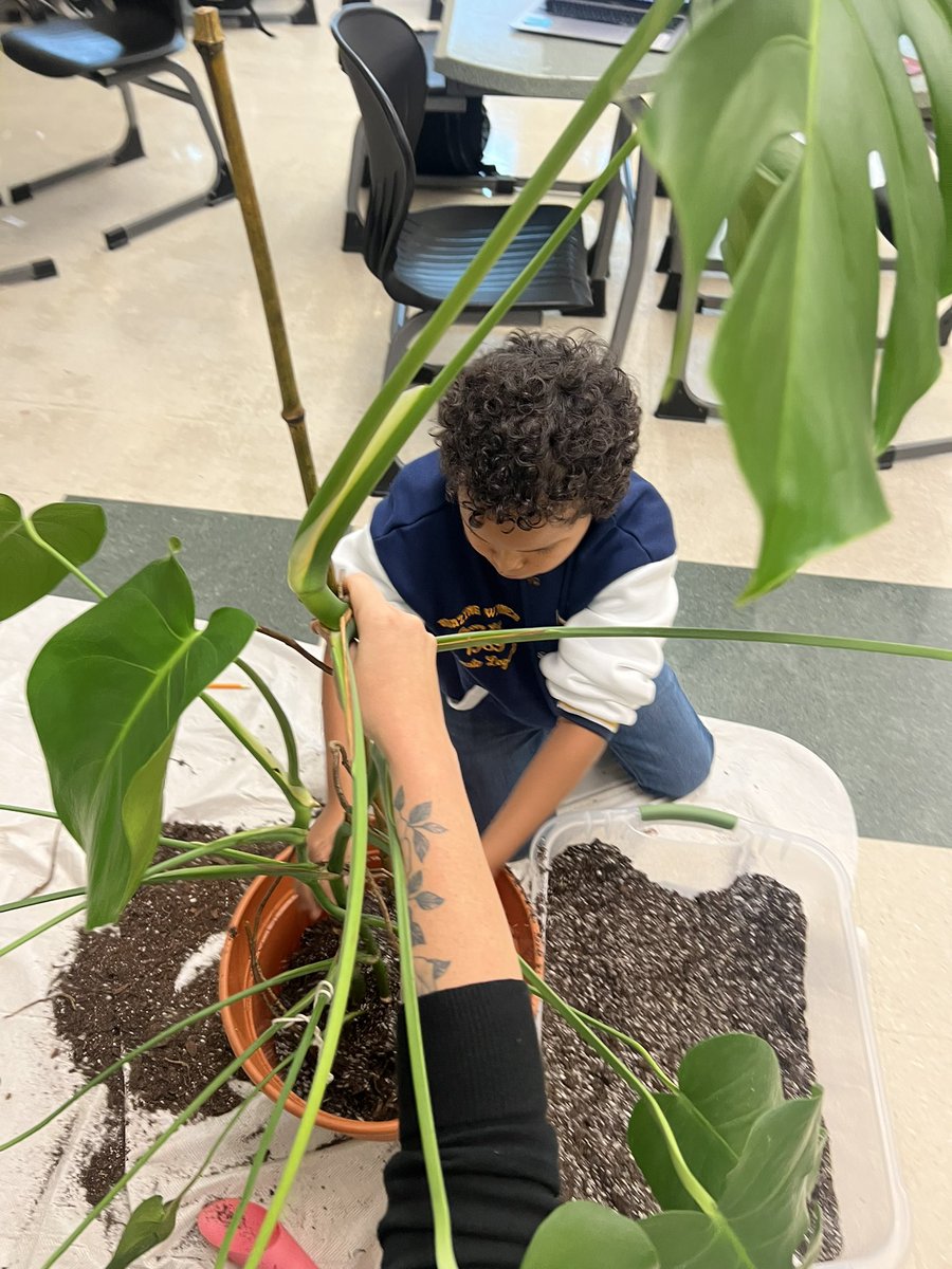 MissEly_EASD tweet media