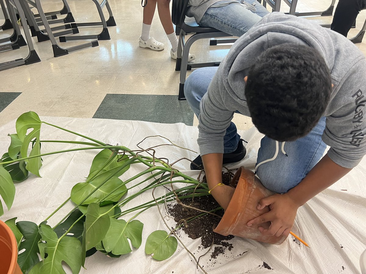 MissEly_EASD tweet media