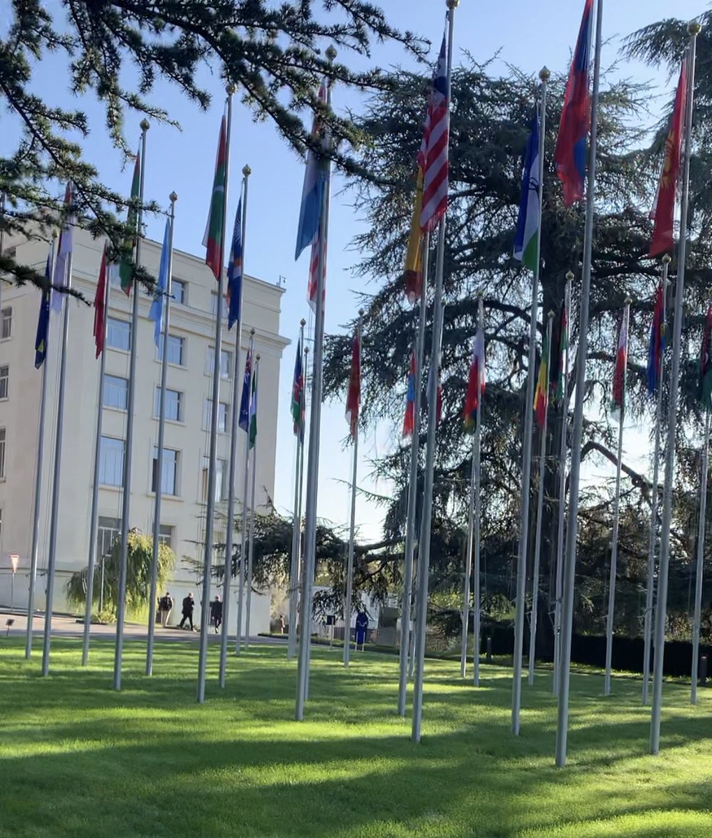 A sunny day at the Palais de Nations 🌞