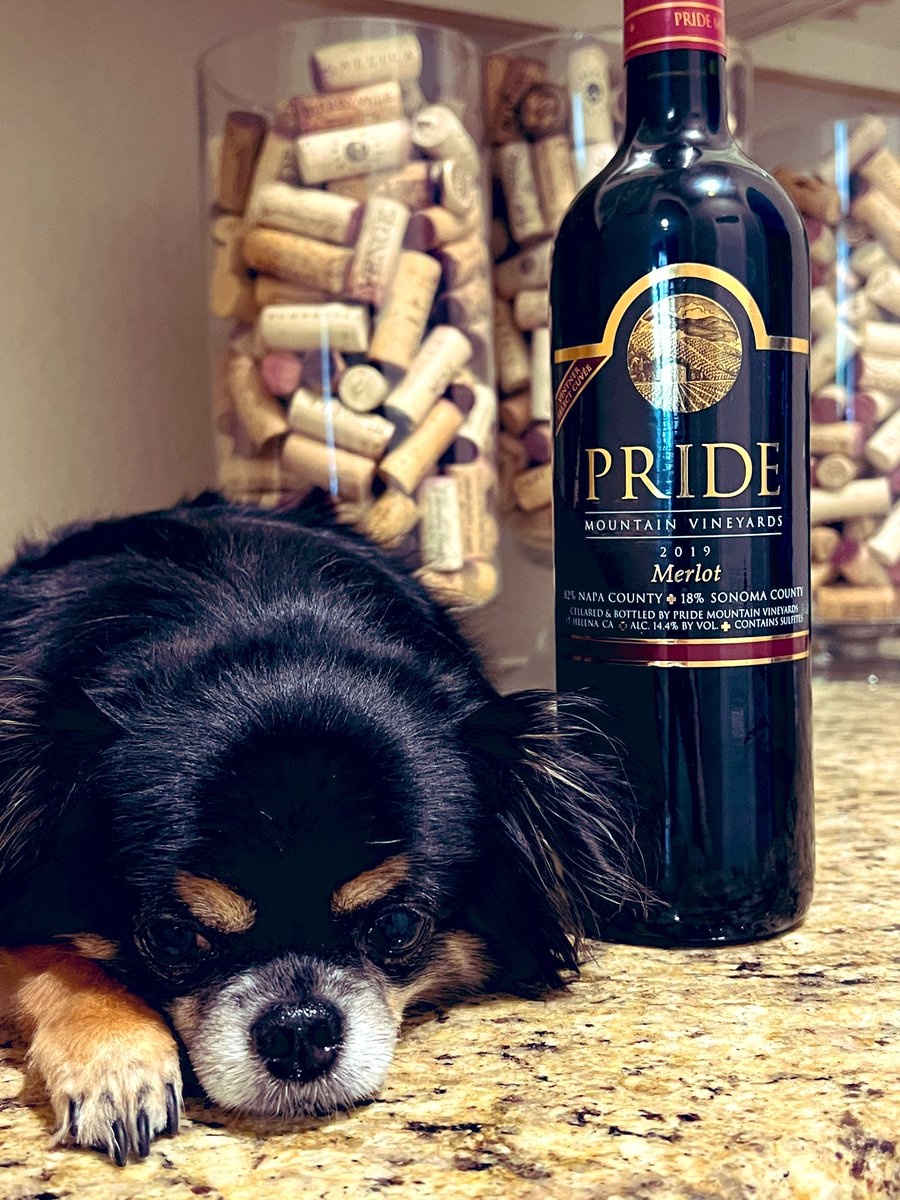 Coastal Cab Critic tweet media