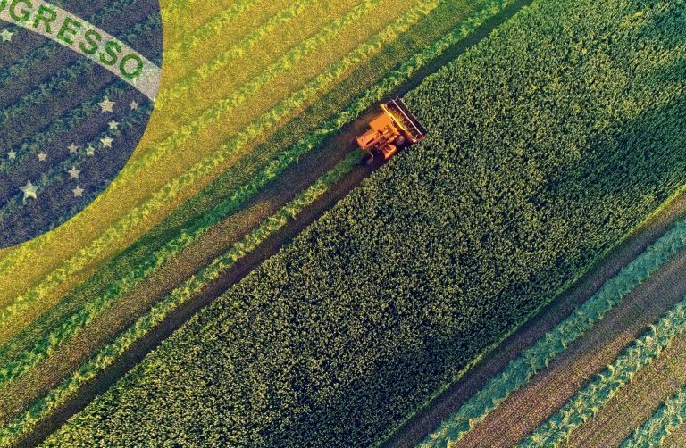 Un nuevo récord: ¿A cuántas personas emplea la agricultura brasilera?
buff.ly/48vtsWb