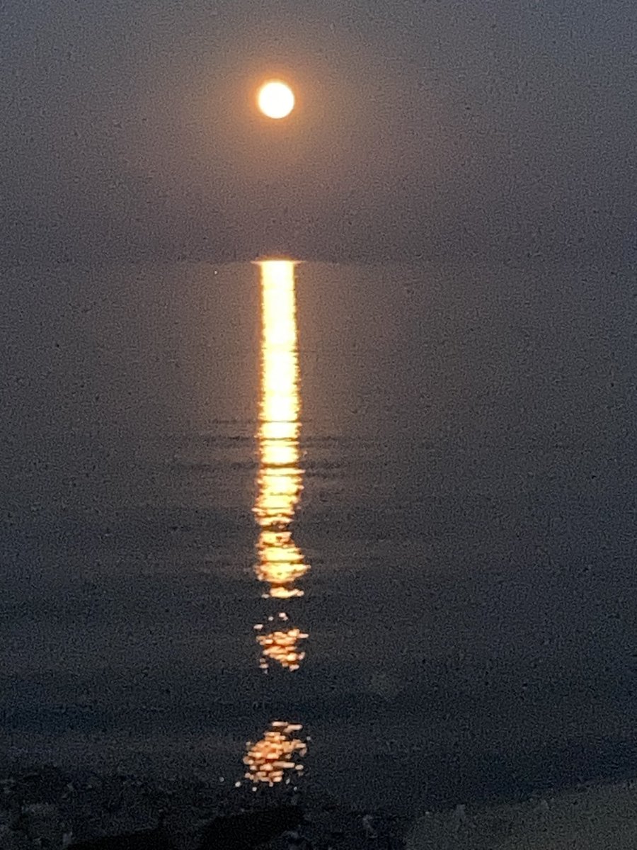 Beautiful harvest moon over the lake sends a trail of golden light across the water. The only disturbance is the slight rippling of the waves as it moves to shore. Have a peaceful evening. Take time to enjoy small miracles.