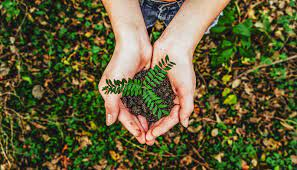 🌿Be eco-conscious, be the change! 🌍 Embrace sustainable choices in your daily life. From reducing waste to supporting green initiatives, small actions make a big impact. Let's nurture our planet and inspire others to do the same. 💚🌱 #EcoConscious #Sustainability #GreenLiving