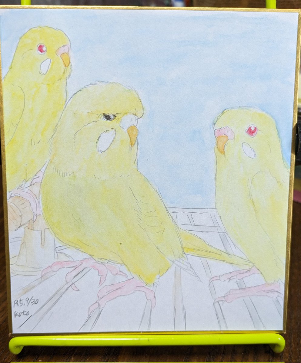 ３羽の色塗り終わりました。
しばらく乾かします
#水彩色鉛筆画