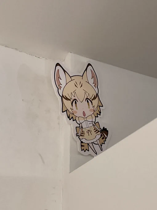 今日のスナネコがいる場所わかった人おる? 