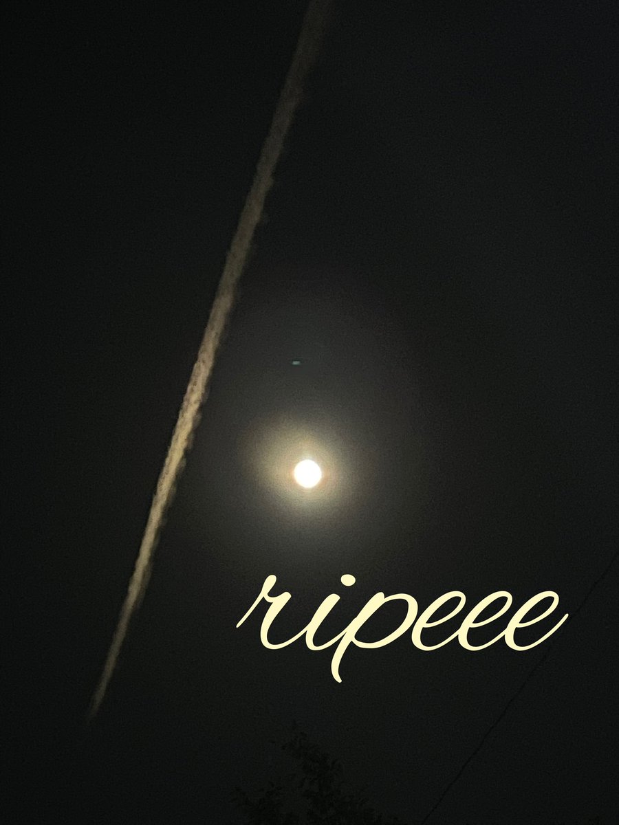 Qoo09120093's tweet image. 2023年10月13日
📍東京秋葉原ZEST
「One!One!One! inTokyo  vol6」

♩.•*¨*•.¸¸♩.•*¨*•.¸¸♩.•*¨*•.¸¸♩

開催まで        あと       13日

♩.•*¨*•.¸¸♩.•*¨*•.¸¸♩.•*¨*•.¸¸♩

#ONEONEONE
#秋葉原ZEST
#ハロウィン
#トリックオアトリート