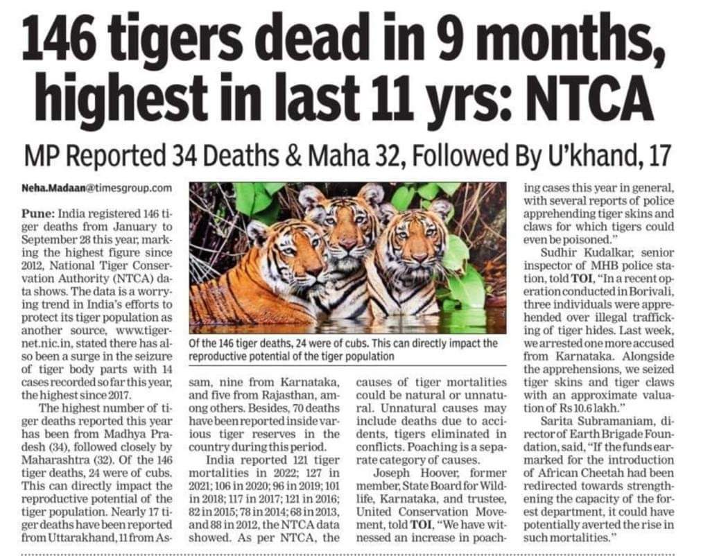 vinayymishraap's tweet photo. No cheetahs. No humans , no one except bigoted and perverse will be spared to live their lives. https://t.co/uoUA3wpKr4