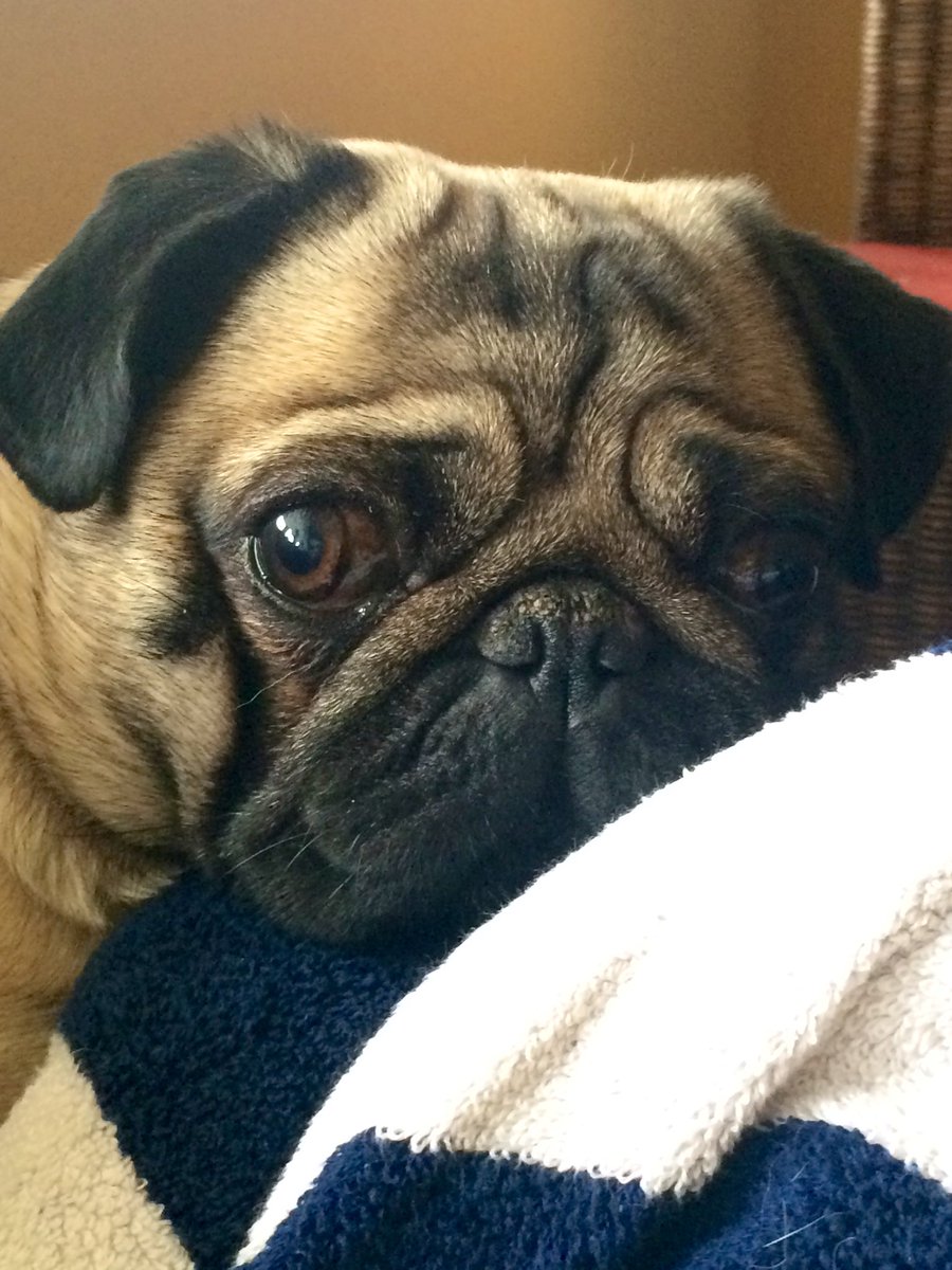 Mind Freak tweet media