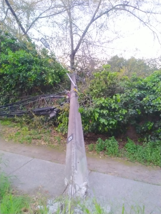 @Enel_Informa_CL tweet media