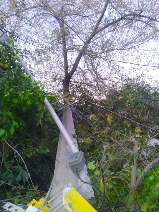 @Enel_Informa_CL tweet media