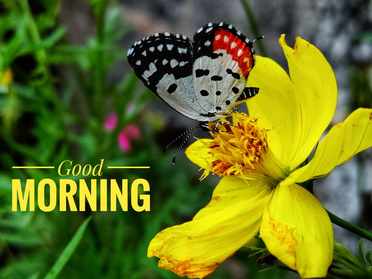 rgm9030's tweet photo. Good Morning 🌅

#goodmorning #WeekendVibes https://t.co/PvGjxMfg8V