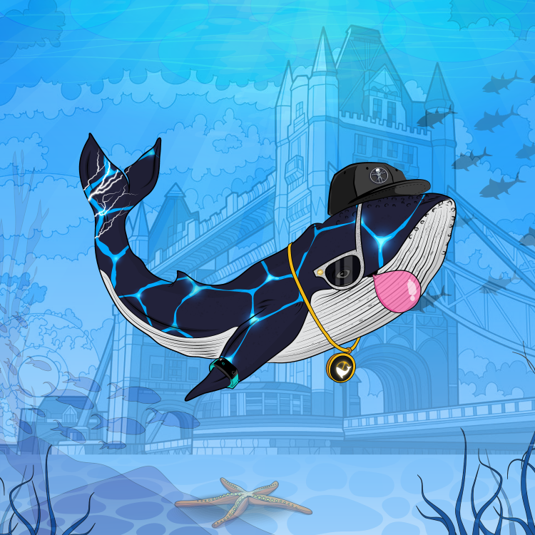GM ☀️ Whale Riders!

Be ready to ride the wave and get exclusive first access to the Whale Games mint! 🌊🏄‍♂️

Our WL giveaway kicks off TODAY! 🚨

Follow and turn on notifications so you don't miss your chance at a golden WL ticket! 🎫✨

Details to follow soon 😉

The countdown