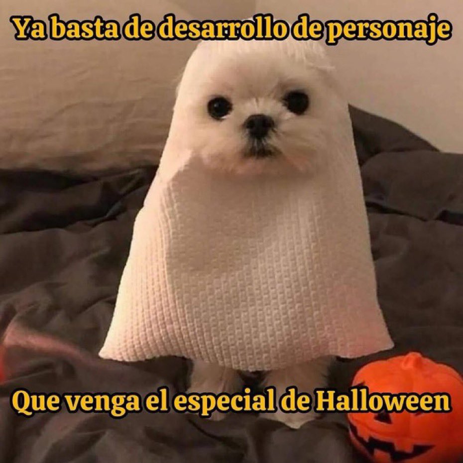 Dilo con perritos tweet media