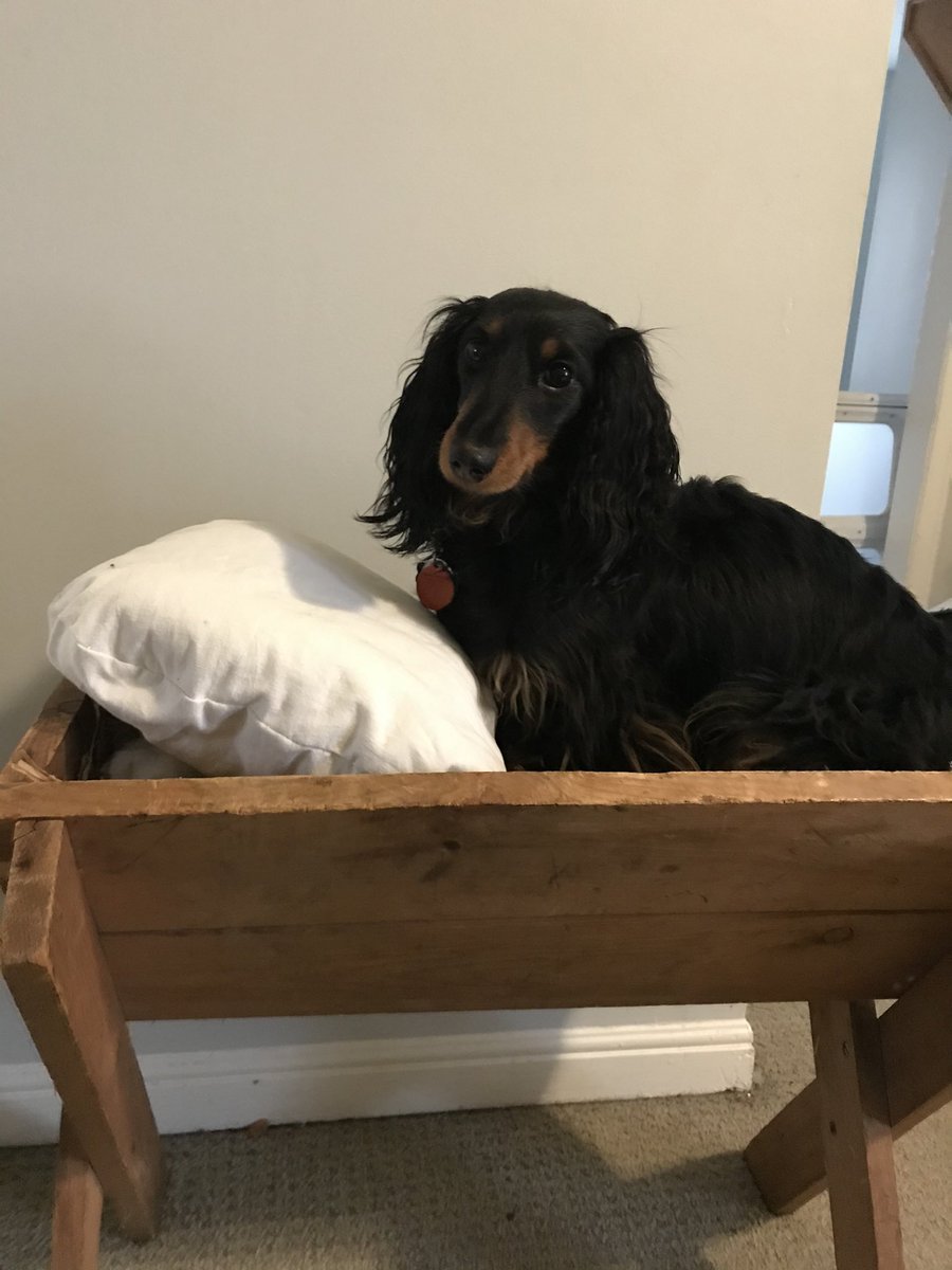 monstermumca's tweet photo. @RevDaniel @ESL_fairy Sometimes they want to up their status and become the babe laying in a manger.  😇 https://t.co/No44RVSFD0