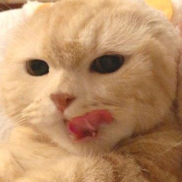 😝

#G22ALFEA <a href="/zuluetAlfea/">G22 Alfea</a>