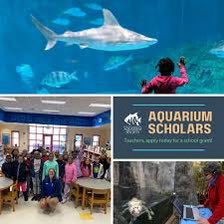 I am excited to share I was awarded the NC Science Festival Duke Energy Science Night Grant again for Gibson!  I was also awarded the NC Aquarium Scholars Program for outreach/virtual programs for my second grade team!! <a href="/ncscifest/">North Carolina Science Festival</a> <a href="/NCAquariumFF/">NC Aquarium at FF</a> <a href="/GibsonGrizzlies/">Gibson Elementary</a> <a href="/WSFCS_Science/">WS/FCS Science</a>