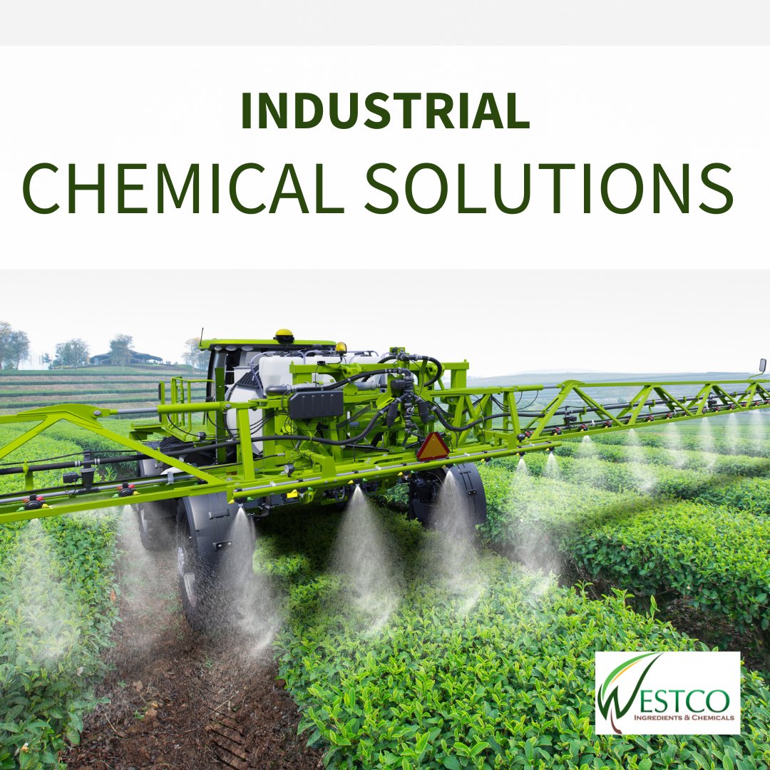 westcochemicals's tweet image. Seamless distribution at its finest! We're your go-to for masterful handling and delivery of industrial chemical solutions.

#Defoamer #Antifoam #ProcessEfficiency #FoodIngredients #QualitySuppliers #QualityIngredients #FoodIndustry #TopChemicalDistributorsUSA
